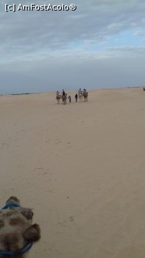 [P15]  -- <small>// FĂRĂ DESCRIERE</small> » foto by fan bulgaria
 - 
<span class="allrVoted glyphicon glyphicon-heart hidden" id="av1006546"></span>
<a class="m-l-10 hidden" id="sv1006546" onclick="voting_Foto_DelVot(,1006546,658)" role="button">șterge vot <span class="glyphicon glyphicon-remove"></span></a>
<a id="v91006546" class=" c-red"  onclick="voting_Foto_SetVot(1006546)" role="button"><span class="glyphicon glyphicon-heart-empty"></span> <b>LIKE</b> = Votează poza</a> <img class="hidden"  id="f1006546W9" src="/imagini/loader.gif" border="0" /><span class="AjErrMes hidden" id="e1006546ErM"></span>