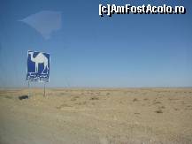 [P33]  -- <small>// FĂRĂ DESCRIERE</small> » foto by cristi_an3000
 - 
<span class="allrVoted glyphicon glyphicon-heart hidden" id="av77236"></span>
<a class="m-l-10 hidden" id="sv77236" onclick="voting_Foto_DelVot(,77236,658)" role="button">șterge vot <span class="glyphicon glyphicon-remove"></span></a>
<a id="v977236" class=" c-red"  onclick="voting_Foto_SetVot(77236)" role="button"><span class="glyphicon glyphicon-heart-empty"></span> <b>LIKE</b> = Votează poza</a> <img class="hidden"  id="f77236W9" src="/imagini/loader.gif" border="0" /><span class="AjErrMes hidden" id="e77236ErM"></span>