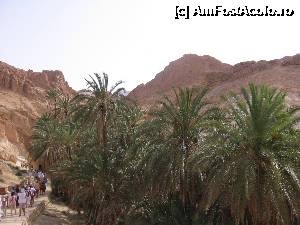 [P23]  -- <small>// FĂRĂ DESCRIERE</small> » foto by csaszar78
 - 
<span class="allrVoted glyphicon glyphicon-heart hidden" id="av357907"></span>
<a class="m-l-10 hidden" id="sv357907" onclick="voting_Foto_DelVot(,357907,658)" role="button">șterge vot <span class="glyphicon glyphicon-remove"></span></a>
<a id="v9357907" class=" c-red"  onclick="voting_Foto_SetVot(357907)" role="button"><span class="glyphicon glyphicon-heart-empty"></span> <b>LIKE</b> = Votează poza</a> <img class="hidden"  id="f357907W9" src="/imagini/loader.gif" border="0" /><span class="AjErrMes hidden" id="e357907ErM"></span>