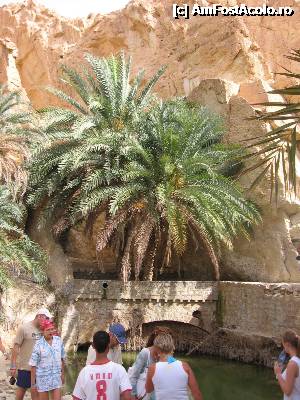 [P24]  -- <small>// FĂRĂ DESCRIERE</small> » foto by csaszar78
 - 
<span class="allrVoted glyphicon glyphicon-heart hidden" id="av357908"></span>
<a class="m-l-10 hidden" id="sv357908" onclick="voting_Foto_DelVot(,357908,658)" role="button">șterge vot <span class="glyphicon glyphicon-remove"></span></a>
<a id="v9357908" class=" c-red"  onclick="voting_Foto_SetVot(357908)" role="button"><span class="glyphicon glyphicon-heart-empty"></span> <b>LIKE</b> = Votează poza</a> <img class="hidden"  id="f357908W9" src="/imagini/loader.gif" border="0" /><span class="AjErrMes hidden" id="e357908ErM"></span>