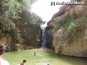 [P28]  -- <small>// FĂRĂ DESCRIERE</small> » foto by csaszar78
 - 
<span class="allrVoted glyphicon glyphicon-heart hidden" id="av357912"></span>
<a class="m-l-10 hidden" id="sv357912" onclick="voting_Foto_DelVot(,357912,658)" role="button">șterge vot <span class="glyphicon glyphicon-remove"></span></a>
<a id="v9357912" class=" c-red"  onclick="voting_Foto_SetVot(357912)" role="button"><span class="glyphicon glyphicon-heart-empty"></span> <b>LIKE</b> = Votează poza</a> <img class="hidden"  id="f357912W9" src="/imagini/loader.gif" border="0" /><span class="AjErrMes hidden" id="e357912ErM"></span>