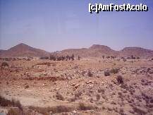 [P15] Desertul de piatra, in nemiscare » foto by liviadavidescu
 - 
<span class="allrVoted glyphicon glyphicon-heart hidden" id="av145686"></span>
<a class="m-l-10 hidden" id="sv145686" onclick="voting_Foto_DelVot(,145686,658)" role="button">șterge vot <span class="glyphicon glyphicon-remove"></span></a>
<a id="v9145686" class=" c-red"  onclick="voting_Foto_SetVot(145686)" role="button"><span class="glyphicon glyphicon-heart-empty"></span> <b>LIKE</b> = Votează poza</a> <img class="hidden"  id="f145686W9" src="/imagini/loader.gif" border="0" /><span class="AjErrMes hidden" id="e145686ErM"></span>