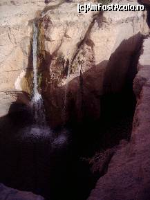 [P12] Cascadele din oaza Tamerza, prilej de racorire colectiva » foto by liviadavidescu
 - 
<span class="allrVoted glyphicon glyphicon-heart hidden" id="av145978"></span>
<a class="m-l-10 hidden" id="sv145978" onclick="voting_Foto_DelVot(,145978,658)" role="button">șterge vot <span class="glyphicon glyphicon-remove"></span></a>
<a id="v9145978" class=" c-red"  onclick="voting_Foto_SetVot(145978)" role="button"><span class="glyphicon glyphicon-heart-empty"></span> <b>LIKE</b> = Votează poza</a> <img class="hidden"  id="f145978W9" src="/imagini/loader.gif" border="0" /><span class="AjErrMes hidden" id="e145978ErM"></span>