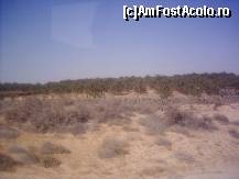 [P03] Limita desertului in oaza Douze- plantatii de curmali » foto by liviadavidescu
 - 
<span class="allrVoted glyphicon glyphicon-heart hidden" id="av145939"></span>
<a class="m-l-10 hidden" id="sv145939" onclick="voting_Foto_DelVot(,145939,658)" role="button">șterge vot <span class="glyphicon glyphicon-remove"></span></a>
<a id="v9145939" class=" c-red"  onclick="voting_Foto_SetVot(145939)" role="button"><span class="glyphicon glyphicon-heart-empty"></span> <b>LIKE</b> = Votează poza</a> <img class="hidden"  id="f145939W9" src="/imagini/loader.gif" border="0" /><span class="AjErrMes hidden" id="e145939ErM"></span>