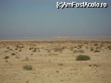 [P19] Miraj in desert » foto by ancamariagadea*
 - 
<span class="allrVoted glyphicon glyphicon-heart hidden" id="av32341"></span>
<a class="m-l-10 hidden" id="sv32341" onclick="voting_Foto_DelVot(,32341,658)" role="button">șterge vot <span class="glyphicon glyphicon-remove"></span></a>
<a id="v932341" class=" c-red"  onclick="voting_Foto_SetVot(32341)" role="button"><span class="glyphicon glyphicon-heart-empty"></span> <b>LIKE</b> = Votează poza</a> <img class="hidden"  id="f32341W9" src="/imagini/loader.gif" border="0" /><span class="AjErrMes hidden" id="e32341ErM"></span>