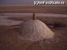 [P08] Chott El Jerid, lacul sarat din desert, un amestec de nisip, sare si apa » foto by ancamariagadea*
 - 
<span class="allrVoted glyphicon glyphicon-heart hidden" id="av32330"></span>
<a class="m-l-10 hidden" id="sv32330" onclick="voting_Foto_DelVot(,32330,658)" role="button">șterge vot <span class="glyphicon glyphicon-remove"></span></a>
<a id="v932330" class=" c-red"  onclick="voting_Foto_SetVot(32330)" role="button"><span class="glyphicon glyphicon-heart-empty"></span> <b>LIKE</b> = Votează poza</a> <img class="hidden"  id="f32330W9" src="/imagini/loader.gif" border="0" /><span class="AjErrMes hidden" id="e32330ErM"></span>