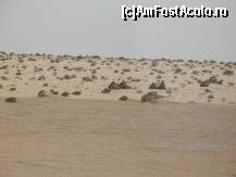 [P11] Camile...foarte slabe » foto by viviv
 - 
<span class="allrVoted glyphicon glyphicon-heart hidden" id="av195231"></span>
<a class="m-l-10 hidden" id="sv195231" onclick="voting_Foto_DelVot(,195231,658)" role="button">șterge vot <span class="glyphicon glyphicon-remove"></span></a>
<a id="v9195231" class=" c-red"  onclick="voting_Foto_SetVot(195231)" role="button"><span class="glyphicon glyphicon-heart-empty"></span> <b>LIKE</b> = Votează poza</a> <img class="hidden"  id="f195231W9" src="/imagini/loader.gif" border="0" /><span class="AjErrMes hidden" id="e195231ErM"></span>