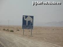 [P12] Feriti camilele. » foto by viviv
 - 
<span class="allrVoted glyphicon glyphicon-heart hidden" id="av195234"></span>
<a class="m-l-10 hidden" id="sv195234" onclick="voting_Foto_DelVot(,195234,658)" role="button">șterge vot <span class="glyphicon glyphicon-remove"></span></a>
<a id="v9195234" class=" c-red"  onclick="voting_Foto_SetVot(195234)" role="button"><span class="glyphicon glyphicon-heart-empty"></span> <b>LIKE</b> = Votează poza</a> <img class="hidden"  id="f195234W9" src="/imagini/loader.gif" border="0" /><span class="AjErrMes hidden" id="e195234ErM"></span>