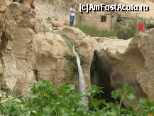 [P18]  -- <small>// FĂRĂ DESCRIERE</small> » foto by viviv
 - 
<span class="allrVoted glyphicon glyphicon-heart hidden" id="av195240"></span>
<a class="m-l-10 hidden" id="sv195240" onclick="voting_Foto_DelVot(,195240,658)" role="button">șterge vot <span class="glyphicon glyphicon-remove"></span></a>
<a id="v9195240" class=" c-red"  onclick="voting_Foto_SetVot(195240)" role="button"><span class="glyphicon glyphicon-heart-empty"></span> <b>LIKE</b> = Votează poza</a> <img class="hidden"  id="f195240W9" src="/imagini/loader.gif" border="0" /><span class="AjErrMes hidden" id="e195240ErM"></span>