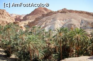 [P11] OAZA CHEBIKA » foto by cami1212
 - 
<span class="allrVoted glyphicon glyphicon-heart hidden" id="av1020319"></span>
<a class="m-l-10 hidden" id="sv1020319" onclick="voting_Foto_DelVot(,1020319,658)" role="button">șterge vot <span class="glyphicon glyphicon-remove"></span></a>
<a id="v91020319" class=" c-red"  onclick="voting_Foto_SetVot(1020319)" role="button"><span class="glyphicon glyphicon-heart-empty"></span> <b>LIKE</b> = Votează poza</a> <img class="hidden"  id="f1020319W9" src="/imagini/loader.gif" border="0" /><span class="AjErrMes hidden" id="e1020319ErM"></span>