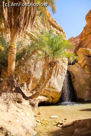 [P14] OAZA CHEBIKA » foto by cami1212
 - 
<span class="allrVoted glyphicon glyphicon-heart hidden" id="av1020322"></span>
<a class="m-l-10 hidden" id="sv1020322" onclick="voting_Foto_DelVot(,1020322,658)" role="button">șterge vot <span class="glyphicon glyphicon-remove"></span></a>
<a id="v91020322" class=" c-red"  onclick="voting_Foto_SetVot(1020322)" role="button"><span class="glyphicon glyphicon-heart-empty"></span> <b>LIKE</b> = Votează poza</a> <img class="hidden"  id="f1020322W9" src="/imagini/loader.gif" border="0" /><span class="AjErrMes hidden" id="e1020322ErM"></span>