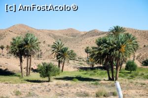 [P02]  -- <small>// FĂRĂ DESCRIERE</small> » foto by cami1212
 - 
<span class="allrVoted glyphicon glyphicon-heart hidden" id="av1020310"></span>
<a class="m-l-10 hidden" id="sv1020310" onclick="voting_Foto_DelVot(,1020310,658)" role="button">șterge vot <span class="glyphicon glyphicon-remove"></span></a>
<a id="v91020310" class=" c-red"  onclick="voting_Foto_SetVot(1020310)" role="button"><span class="glyphicon glyphicon-heart-empty"></span> <b>LIKE</b> = Votează poza</a> <img class="hidden"  id="f1020310W9" src="/imagini/loader.gif" border="0" /><span class="AjErrMes hidden" id="e1020310ErM"></span>