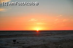 [P05] RASARITUL PE LACUL SARAT » foto by cami1212
 - 
<span class="allrVoted glyphicon glyphicon-heart hidden" id="av1020313"></span>
<a class="m-l-10 hidden" id="sv1020313" onclick="voting_Foto_DelVot(,1020313,658)" role="button">șterge vot <span class="glyphicon glyphicon-remove"></span></a>
<a id="v91020313" class=" c-red"  onclick="voting_Foto_SetVot(1020313)" role="button"><span class="glyphicon glyphicon-heart-empty"></span> <b>LIKE</b> = Votează poza</a> <img class="hidden"  id="f1020313W9" src="/imagini/loader.gif" border="0" /><span class="AjErrMes hidden" id="e1020313ErM"></span>