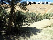 [P10] Oaza de munte Chebika » foto by Darklocks
 - 
<span class="allrVoted glyphicon glyphicon-heart hidden" id="av151270"></span>
<a class="m-l-10 hidden" id="sv151270" onclick="voting_Foto_DelVot(,151270,658)" role="button">șterge vot <span class="glyphicon glyphicon-remove"></span></a>
<a id="v9151270" class=" c-red"  onclick="voting_Foto_SetVot(151270)" role="button"><span class="glyphicon glyphicon-heart-empty"></span> <b>LIKE</b> = Votează poza</a> <img class="hidden"  id="f151270W9" src="/imagini/loader.gif" border="0" /><span class="AjErrMes hidden" id="e151270ErM"></span>