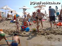 [P01] Plaja cu nisip fin si curat » foto by Dan Florariu
 - 
<span class="allrVoted glyphicon glyphicon-heart hidden" id="av188987"></span>
<a class="m-l-10 hidden" id="sv188987" onclick="voting_Foto_DelVot(,188987,679)" role="button">șterge vot <span class="glyphicon glyphicon-remove"></span></a>
<a id="v9188987" class=" c-red"  onclick="voting_Foto_SetVot(188987)" role="button"><span class="glyphicon glyphicon-heart-empty"></span> <b>LIKE</b> = Votează poza</a> <img class="hidden"  id="f188987W9" src="/imagini/loader.gif" border="0" /><span class="AjErrMes hidden" id="e188987ErM"></span>