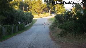 [P01] strada care trebuie traversata de la hotel spre plaja » foto by silvia tudoran
 - 
<span class="allrVoted glyphicon glyphicon-heart hidden" id="av525269"></span>
<a class="m-l-10 hidden" id="sv525269" onclick="voting_Foto_DelVot(,525269,684)" role="button">șterge vot <span class="glyphicon glyphicon-remove"></span></a>
<a id="v9525269" class=" c-red"  onclick="voting_Foto_SetVot(525269)" role="button"><span class="glyphicon glyphicon-heart-empty"></span> <b>LIKE</b> = Votează poza</a> <img class="hidden"  id="f525269W9" src="/imagini/loader.gif" border="0" /><span class="AjErrMes hidden" id="e525269ErM"></span>