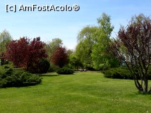 [P32] Hotel Europa Eforie Nord. Culorile primaverii...  » foto by Floria
 - 
<span class="allrVoted glyphicon glyphicon-heart hidden" id="av1070802"></span>
<a class="m-l-10 hidden" id="sv1070802" onclick="voting_Foto_DelVot(,1070802,731)" role="button">șterge vot <span class="glyphicon glyphicon-remove"></span></a>
<a id="v91070802" class=" c-red"  onclick="voting_Foto_SetVot(1070802)" role="button"><span class="glyphicon glyphicon-heart-empty"></span> <b>LIKE</b> = Votează poza</a> <img class="hidden"  id="f1070802W9" src="/imagini/loader.gif" border="0" /><span class="AjErrMes hidden" id="e1070802ErM"></span>