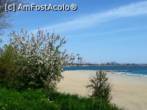 [P33] Hotel Europa Eforie Nord. Pomi infloriti la malul marii.  » foto by Floria
 - 
<span class="allrVoted glyphicon glyphicon-heart hidden" id="av1070803"></span>
<a class="m-l-10 hidden" id="sv1070803" onclick="voting_Foto_DelVot(,1070803,731)" role="button">șterge vot <span class="glyphicon glyphicon-remove"></span></a>
<a id="v91070803" class=" c-red"  onclick="voting_Foto_SetVot(1070803)" role="button"><span class="glyphicon glyphicon-heart-empty"></span> <b>LIKE</b> = Votează poza</a> <img class="hidden"  id="f1070803W9" src="/imagini/loader.gif" border="0" /><span class="AjErrMes hidden" id="e1070803ErM"></span>