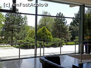 [P06] Hotel Europa Eforie Nord. Vedere spre gradina, prin geamul de langa receptie.  » foto by Floria
 - 
<span class="allrVoted glyphicon glyphicon-heart hidden" id="av1070776"></span>
<a class="m-l-10 hidden" id="sv1070776" onclick="voting_Foto_DelVot(,1070776,731)" role="button">șterge vot <span class="glyphicon glyphicon-remove"></span></a>
<a id="v91070776" class=" c-red"  onclick="voting_Foto_SetVot(1070776)" role="button"><span class="glyphicon glyphicon-heart-empty"></span> <b>LIKE</b> = Votează poza</a> <img class="hidden"  id="f1070776W9" src="/imagini/loader.gif" border="0" /><span class="AjErrMes hidden" id="e1070776ErM"></span>