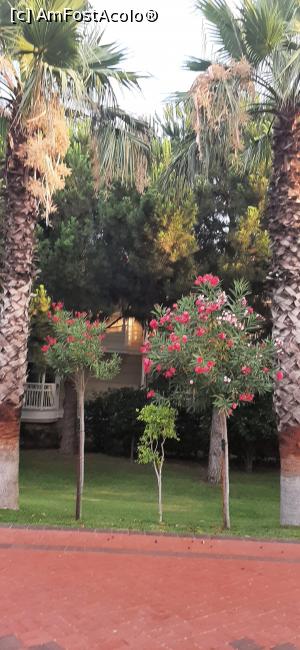 [P56] Ce natură!Ce frumusețe » foto by moraru marian
 - 
<span class="allrVoted glyphicon glyphicon-heart hidden" id="av1311064"></span>
<a class="m-l-10 hidden" id="sv1311064" onclick="voting_Foto_DelVot(,1311064,74)" role="button">șterge vot <span class="glyphicon glyphicon-remove"></span></a>
<a id="v91311064" class=" c-red"  onclick="voting_Foto_SetVot(1311064)" role="button"><span class="glyphicon glyphicon-heart-empty"></span> <b>LIKE</b> = Votează poza</a> <img class="hidden"  id="f1311064W9" src="/imagini/loader.gif" border="0" /><span class="AjErrMes hidden" id="e1311064ErM"></span>