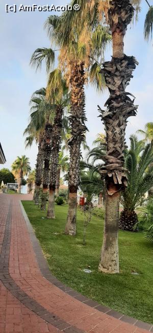 [P57] De la plajă către centrul resortului » foto by moraru marian
 - 
<span class="allrVoted glyphicon glyphicon-heart hidden" id="av1311065"></span>
<a class="m-l-10 hidden" id="sv1311065" onclick="voting_Foto_DelVot(,1311065,74)" role="button">șterge vot <span class="glyphicon glyphicon-remove"></span></a>
<a id="v91311065" class=" c-red"  onclick="voting_Foto_SetVot(1311065)" role="button"><span class="glyphicon glyphicon-heart-empty"></span> <b>LIKE</b> = Votează poza</a> <img class="hidden"  id="f1311065W9" src="/imagini/loader.gif" border="0" /><span class="AjErrMes hidden" id="e1311065ErM"></span>