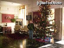 [P16] Bradul din holul hotelului Palace, decor de vis. » foto by anadragusin
 - 
<span class="allrVoted glyphicon glyphicon-heart hidden" id="av177446"></span>
<a class="m-l-10 hidden" id="sv177446" onclick="voting_Foto_DelVot(,177446,762)" role="button">șterge vot <span class="glyphicon glyphicon-remove"></span></a>
<a id="v9177446" class=" c-red"  onclick="voting_Foto_SetVot(177446)" role="button"><span class="glyphicon glyphicon-heart-empty"></span> <b>LIKE</b> = Votează poza</a> <img class="hidden"  id="f177446W9" src="/imagini/loader.gif" border="0" /><span class="AjErrMes hidden" id="e177446ErM"></span>