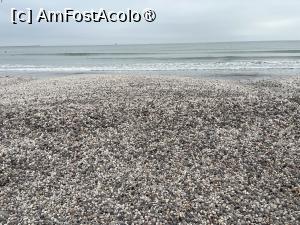 [P13] Mamaia Nord-Scoicile scoase de valuri » foto by Yersinia Pestis
 - 
<span class="allrVoted glyphicon glyphicon-heart hidden" id="av1518541"></span>
<a class="m-l-10 hidden" id="sv1518541" onclick="voting_Foto_DelVot(,1518541,766)" role="button">șterge vot <span class="glyphicon glyphicon-remove"></span></a>
<a id="v91518541" class=" c-red"  onclick="voting_Foto_SetVot(1518541)" role="button"><span class="glyphicon glyphicon-heart-empty"></span> <b>LIKE</b> = Votează poza</a> <img class="hidden"  id="f1518541W9" src="/imagini/loader.gif" border="0" /><span class="AjErrMes hidden" id="e1518541ErM"></span>