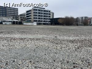 [P02] Mamaia Nord-valuri de scoici scoase pe plajă de valuri » foto by Yersinia Pestis
 - 
<span class="allrVoted glyphicon glyphicon-heart hidden" id="av1518530"></span>
<a class="m-l-10 hidden" id="sv1518530" onclick="voting_Foto_DelVot(,1518530,766)" role="button">șterge vot <span class="glyphicon glyphicon-remove"></span></a>
<a id="v91518530" class=" c-red"  onclick="voting_Foto_SetVot(1518530)" role="button"><span class="glyphicon glyphicon-heart-empty"></span> <b>LIKE</b> = Votează poza</a> <img class="hidden"  id="f1518530W9" src="/imagini/loader.gif" border="0" /><span class="AjErrMes hidden" id="e1518530ErM"></span>