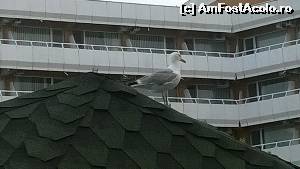 [P30] Fotografie romantică :)) Soţul meu e autorul :)  » foto by arru
 - 
<span class="allrVoted glyphicon glyphicon-heart hidden" id="av528584"></span>
<a class="m-l-10 hidden" id="sv528584" onclick="voting_Foto_DelVot(,528584,769)" role="button">șterge vot <span class="glyphicon glyphicon-remove"></span></a>
<a id="v9528584" class=" c-red"  onclick="voting_Foto_SetVot(528584)" role="button"><span class="glyphicon glyphicon-heart-empty"></span> <b>LIKE</b> = Votează poza</a> <img class="hidden"  id="f528584W9" src="/imagini/loader.gif" border="0" /><span class="AjErrMes hidden" id="e528584ErM"></span>