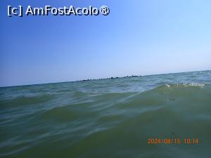 [P87] Hotel Majestic Mamaia - marea » foto by nicole33
 - 
<span class="allrVoted glyphicon glyphicon-heart hidden" id="av1511882"></span>
<a class="m-l-10 hidden" id="sv1511882" onclick="voting_Foto_DelVot(,1511882,782)" role="button">șterge vot <span class="glyphicon glyphicon-remove"></span></a>
<a id="v91511882" class=" c-red"  onclick="voting_Foto_SetVot(1511882)" role="button"><span class="glyphicon glyphicon-heart-empty"></span> <b>LIKE</b> = Votează poza</a> <img class="hidden"  id="f1511882W9" src="/imagini/loader.gif" border="0" /><span class="AjErrMes hidden" id="e1511882ErM"></span>