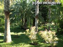 [P02]  -- <small>// FĂRĂ DESCRIERE</small> » foto by antalgbr
 - 
<span class="allrVoted glyphicon glyphicon-heart hidden" id="av109893"></span>
<a class="m-l-10 hidden" id="sv109893" onclick="voting_Foto_DelVot(,109893,8)" role="button">șterge vot <span class="glyphicon glyphicon-remove"></span></a>
<a id="v9109893" class=" c-red"  onclick="voting_Foto_SetVot(109893)" role="button"><span class="glyphicon glyphicon-heart-empty"></span> <b>LIKE</b> = Votează poza</a> <img class="hidden"  id="f109893W9" src="/imagini/loader.gif" border="0" /><span class="AjErrMes hidden" id="e109893ErM"></span>