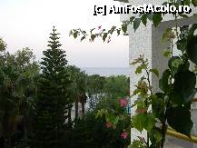 [P14] Vedere din camera 2. In dreapta se vede o planta( nu cunsc numele) care crestea in jurul balcoanelor. » foto by stefanSB
 - 
<span class="allrVoted glyphicon glyphicon-heart hidden" id="av259795"></span>
<a class="m-l-10 hidden" id="sv259795" onclick="voting_Foto_DelVot(,259795,8)" role="button">șterge vot <span class="glyphicon glyphicon-remove"></span></a>
<a id="v9259795" class=" c-red"  onclick="voting_Foto_SetVot(259795)" role="button"><span class="glyphicon glyphicon-heart-empty"></span> <b>LIKE</b> = Votează poza</a> <img class="hidden"  id="f259795W9" src="/imagini/loader.gif" border="0" /><span class="AjErrMes hidden" id="e259795ErM"></span>