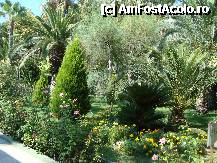 [P16] Palmieri, trandafiri si multe alte plante. » foto by stefanSB
 - 
<span class="allrVoted glyphicon glyphicon-heart hidden" id="av259797"></span>
<a class="m-l-10 hidden" id="sv259797" onclick="voting_Foto_DelVot(,259797,8)" role="button">șterge vot <span class="glyphicon glyphicon-remove"></span></a>
<a id="v9259797" class=" c-red"  onclick="voting_Foto_SetVot(259797)" role="button"><span class="glyphicon glyphicon-heart-empty"></span> <b>LIKE</b> = Votează poza</a> <img class="hidden"  id="f259797W9" src="/imagini/loader.gif" border="0" /><span class="AjErrMes hidden" id="e259797ErM"></span>
