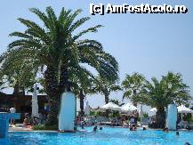 [P20] Piscina principala cu strajeri, pinguinii. » foto by stefanSB
 - 
<span class="allrVoted glyphicon glyphicon-heart hidden" id="av259811"></span>
<a class="m-l-10 hidden" id="sv259811" onclick="voting_Foto_DelVot(,259811,8)" role="button">șterge vot <span class="glyphicon glyphicon-remove"></span></a>
<a id="v9259811" class=" c-red"  onclick="voting_Foto_SetVot(259811)" role="button"><span class="glyphicon glyphicon-heart-empty"></span> <b>LIKE</b> = Votează poza</a> <img class="hidden"  id="f259811W9" src="/imagini/loader.gif" border="0" /><span class="AjErrMes hidden" id="e259811ErM"></span>