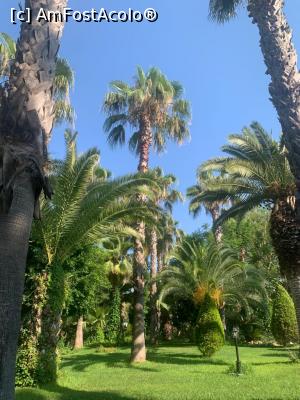 [P01]  -- <small>// FĂRĂ DESCRIERE</small> » foto by igi
 - 
<span class="allrVoted glyphicon glyphicon-heart hidden" id="av1241200"></span>
<a class="m-l-10 hidden" id="sv1241200" onclick="voting_Foto_DelVot(,1241200,8)" role="button">șterge vot <span class="glyphicon glyphicon-remove"></span></a>
<a id="v91241200" class=" c-red"  onclick="voting_Foto_SetVot(1241200)" role="button"><span class="glyphicon glyphicon-heart-empty"></span> <b>LIKE</b> = Votează poza</a> <img class="hidden"  id="f1241200W9" src="/imagini/loader.gif" border="0" /><span class="AjErrMes hidden" id="e1241200ErM"></span>