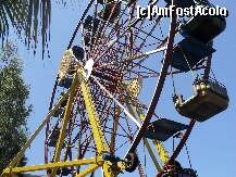 [P12] Luna park.. » foto by vio kovacs
 - 
<span class="allrVoted glyphicon glyphicon-heart hidden" id="av246585"></span>
<a class="m-l-10 hidden" id="sv246585" onclick="voting_Foto_DelVot(,246585,8)" role="button">șterge vot <span class="glyphicon glyphicon-remove"></span></a>
<a id="v9246585" class=" c-red"  onclick="voting_Foto_SetVot(246585)" role="button"><span class="glyphicon glyphicon-heart-empty"></span> <b>LIKE</b> = Votează poza</a> <img class="hidden"  id="f246585W9" src="/imagini/loader.gif" border="0" /><span class="AjErrMes hidden" id="e246585ErM"></span>