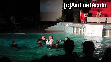 [P07] seara de gala cand s-au aruncat managerii hotelului in piscina » foto by claudian
 - 
<span class="allrVoted glyphicon glyphicon-heart hidden" id="av235395"></span>
<a class="m-l-10 hidden" id="sv235395" onclick="voting_Foto_DelVot(,235395,8)" role="button">șterge vot <span class="glyphicon glyphicon-remove"></span></a>
<a id="v9235395" class=" c-red"  onclick="voting_Foto_SetVot(235395)" role="button"><span class="glyphicon glyphicon-heart-empty"></span> <b>LIKE</b> = Votează poza</a> <img class="hidden"  id="f235395W9" src="/imagini/loader.gif" border="0" /><span class="AjErrMes hidden" id="e235395ErM"></span>