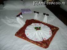 [P01] lebedele cu ochelarii nostri de soare... » foto by allyy
 - 
<span class="allrVoted glyphicon glyphicon-heart hidden" id="av12120"></span>
<a class="m-l-10 hidden" id="sv12120" onclick="voting_Foto_DelVot(,12120,8)" role="button">șterge vot <span class="glyphicon glyphicon-remove"></span></a>
<a id="v912120" class=" c-red"  onclick="voting_Foto_SetVot(12120)" role="button"><span class="glyphicon glyphicon-heart-empty"></span> <b>LIKE</b> = Votează poza</a> <img class="hidden"  id="f12120W9" src="/imagini/loader.gif" border="0" /><span class="AjErrMes hidden" id="e12120ErM"></span>