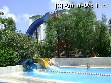 [P12] cele doua topogane mari » foto by allyy
 - 
<span class="allrVoted glyphicon glyphicon-heart hidden" id="av12132"></span>
<a class="m-l-10 hidden" id="sv12132" onclick="voting_Foto_DelVot(,12132,8)" role="button">șterge vot <span class="glyphicon glyphicon-remove"></span></a>
<a id="v912132" class=" c-red"  onclick="voting_Foto_SetVot(12132)" role="button"><span class="glyphicon glyphicon-heart-empty"></span> <b>LIKE</b> = Votează poza</a> <img class="hidden"  id="f12132W9" src="/imagini/loader.gif" border="0" /><span class="AjErrMes hidden" id="e12132ErM"></span>