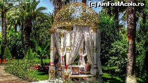 [P01]  -- <small>// FĂRĂ DESCRIERE</small> » foto by homeag_mihaela
 - 
<span class="allrVoted glyphicon glyphicon-heart hidden" id="av528849"></span>
<a class="m-l-10 hidden" id="sv528849" onclick="voting_Foto_DelVot(,528849,8)" role="button">șterge vot <span class="glyphicon glyphicon-remove"></span></a>
<a id="v9528849" class=" c-red"  onclick="voting_Foto_SetVot(528849)" role="button"><span class="glyphicon glyphicon-heart-empty"></span> <b>LIKE</b> = Votează poza</a> <img class="hidden"  id="f528849W9" src="/imagini/loader.gif" border="0" /><span class="AjErrMes hidden" id="e528849ErM"></span>