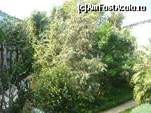 [P16]  -- <small>// FĂRĂ DESCRIERE</small> » foto by filisemin
 - 
<span class="allrVoted glyphicon glyphicon-heart hidden" id="av145744"></span>
<a class="m-l-10 hidden" id="sv145744" onclick="voting_Foto_DelVot(,145744,8)" role="button">șterge vot <span class="glyphicon glyphicon-remove"></span></a>
<a id="v9145744" class=" c-red"  onclick="voting_Foto_SetVot(145744)" role="button"><span class="glyphicon glyphicon-heart-empty"></span> <b>LIKE</b> = Votează poza</a> <img class="hidden"  id="f145744W9" src="/imagini/loader.gif" border="0" /><span class="AjErrMes hidden" id="e145744ErM"></span>