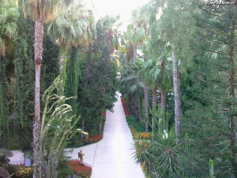 [P01] by mino august 2009 » foto by mino
 - 
<span class="allrVoted glyphicon glyphicon-heart hidden" id="av16480"></span>
<a class="m-l-10 hidden" id="sv16480" onclick="voting_Foto_DelVot(,16480,8)" role="button">șterge vot <span class="glyphicon glyphicon-remove"></span></a>
<a id="v916480" class=" c-red"  onclick="voting_Foto_SetVot(16480)" role="button"><span class="glyphicon glyphicon-heart-empty"></span> <b>LIKE</b> = Votează poza</a> <img class="hidden"  id="f16480W9" src="/imagini/loader.gif" border="0" /><span class="AjErrMes hidden" id="e16480ErM"></span>