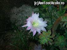 [P16] by mino august 2009
 » foto by mino
 - 
<span class="allrVoted glyphicon glyphicon-heart hidden" id="av16925"></span>
<a class="m-l-10 hidden" id="sv16925" onclick="voting_Foto_DelVot(,16925,8)" role="button">șterge vot <span class="glyphicon glyphicon-remove"></span></a>
<a id="v916925" class=" c-red"  onclick="voting_Foto_SetVot(16925)" role="button"><span class="glyphicon glyphicon-heart-empty"></span> <b>LIKE</b> = Votează poza</a> <img class="hidden"  id="f16925W9" src="/imagini/loader.gif" border="0" /><span class="AjErrMes hidden" id="e16925ErM"></span>