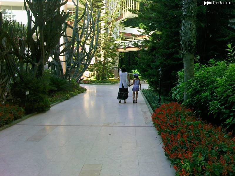 [P02] by mino august 2009 » foto by mino
 - 
<span class="allrVoted glyphicon glyphicon-heart hidden" id="av16481"></span>
<a class="m-l-10 hidden" id="sv16481" onclick="voting_Foto_DelVot(,16481,8)" role="button">șterge vot <span class="glyphicon glyphicon-remove"></span></a>
<a id="v916481" class=" c-red"  onclick="voting_Foto_SetVot(16481)" role="button"><span class="glyphicon glyphicon-heart-empty"></span> <b>LIKE</b> = Votează poza</a> <img class="hidden"  id="f16481W9" src="/imagini/loader.gif" border="0" /><span class="AjErrMes hidden" id="e16481ErM"></span>