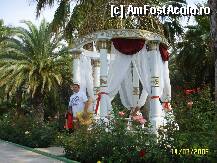 [P02] Gradina » foto by sofnicus
 - 
<span class="allrVoted glyphicon glyphicon-heart hidden" id="av1270"></span>
<a class="m-l-10 hidden" id="sv1270" onclick="voting_Foto_DelVot(,1270,8)" role="button">șterge vot <span class="glyphicon glyphicon-remove"></span></a>
<a id="v91270" class=" c-red"  onclick="voting_Foto_SetVot(1270)" role="button"><span class="glyphicon glyphicon-heart-empty"></span> <b>LIKE</b> = Votează poza</a> <img class="hidden"  id="f1270W9" src="/imagini/loader.gif" border="0" /><span class="AjErrMes hidden" id="e1270ErM"></span>