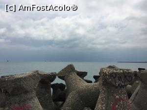 [P04]  -- <small>// FĂRĂ DESCRIERE</small> » foto by Taraxacus
 - 
<span class="allrVoted glyphicon glyphicon-heart hidden" id="av1227775"></span>
<a class="m-l-10 hidden" id="sv1227775" onclick="voting_Foto_DelVot(,1227775,807)" role="button">șterge vot <span class="glyphicon glyphicon-remove"></span></a>
<a id="v91227775" class=" c-red"  onclick="voting_Foto_SetVot(1227775)" role="button"><span class="glyphicon glyphicon-heart-empty"></span> <b>LIKE</b> = Votează poza</a> <img class="hidden"  id="f1227775W9" src="/imagini/loader.gif" border="0" /><span class="AjErrMes hidden" id="e1227775ErM"></span>