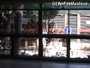 [P15] Zoo tzarc cu gaini, curcani si alte zburatoare.  » foto by vp_chris
 - 
<span class="allrVoted glyphicon glyphicon-heart hidden" id="av358285"></span>
<a class="m-l-10 hidden" id="sv358285" onclick="voting_Foto_DelVot(,358285,810)" role="button">șterge vot <span class="glyphicon glyphicon-remove"></span></a>
<a id="v9358285" class=" c-red"  onclick="voting_Foto_SetVot(358285)" role="button"><span class="glyphicon glyphicon-heart-empty"></span> <b>LIKE</b> = Votează poza</a> <img class="hidden"  id="f358285W9" src="/imagini/loader.gif" border="0" /><span class="AjErrMes hidden" id="e358285ErM"></span>