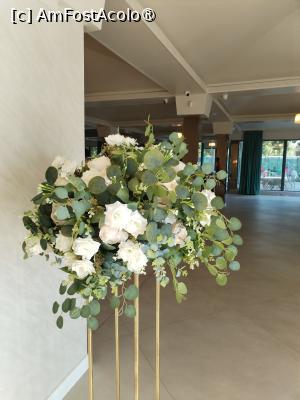 [P24] Tot la restaurant » foto by Teodor17
 - 
<span class="allrVoted glyphicon glyphicon-heart hidden" id="av1499086"></span>
<a class="m-l-10 hidden" id="sv1499086" onclick="voting_Foto_DelVot(,1499086,855)" role="button">șterge vot <span class="glyphicon glyphicon-remove"></span></a>
<a id="v91499086" class=" c-red"  onclick="voting_Foto_SetVot(1499086)" role="button"><span class="glyphicon glyphicon-heart-empty"></span> <b>LIKE</b> = Votează poza</a> <img class="hidden"  id="f1499086W9" src="/imagini/loader.gif" border="0" /><span class="AjErrMes hidden" id="e1499086ErM"></span>