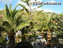 [P05] privelistea din balcon » foto by lilianaooo
 - 
<span class="allrVoted glyphicon glyphicon-heart hidden" id="av325457"></span>
<a class="m-l-10 hidden" id="sv325457" onclick="voting_Foto_DelVot(,325457,872)" role="button">șterge vot <span class="glyphicon glyphicon-remove"></span></a>
<a id="v9325457" class=" c-red"  onclick="voting_Foto_SetVot(325457)" role="button"><span class="glyphicon glyphicon-heart-empty"></span> <b>LIKE</b> = Votează poza</a> <img class="hidden"  id="f325457W9" src="/imagini/loader.gif" border="0" /><span class="AjErrMes hidden" id="e325457ErM"></span>