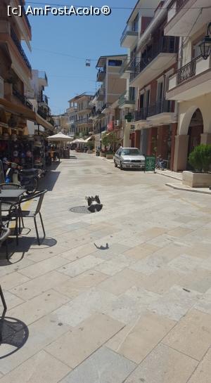 [P13] Zante Town Centru » foto by Bughy82
 - 
<span class="allrVoted glyphicon glyphicon-heart hidden" id="av837823"></span>
<a class="m-l-10 hidden" id="sv837823" onclick="voting_Foto_DelVot(,837823,872)" role="button">șterge vot <span class="glyphicon glyphicon-remove"></span></a>
<a id="v9837823" class=" c-red"  onclick="voting_Foto_SetVot(837823)" role="button"><span class="glyphicon glyphicon-heart-empty"></span> <b>LIKE</b> = Votează poza</a> <img class="hidden"  id="f837823W9" src="/imagini/loader.gif" border="0" /><span class="AjErrMes hidden" id="e837823ErM"></span>